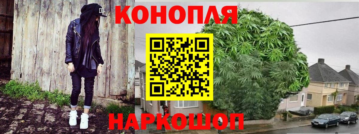 Конопля MAZAR Красноярск